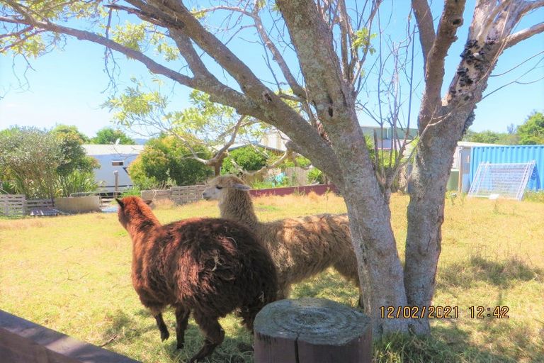 Photo of property in 141 Jesmond Road, Karaka, Drury, 2578