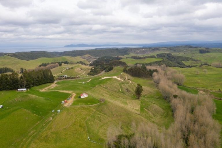 Photo of property in 1886 Whangamata Road, Marotiri, Taupo, 3377