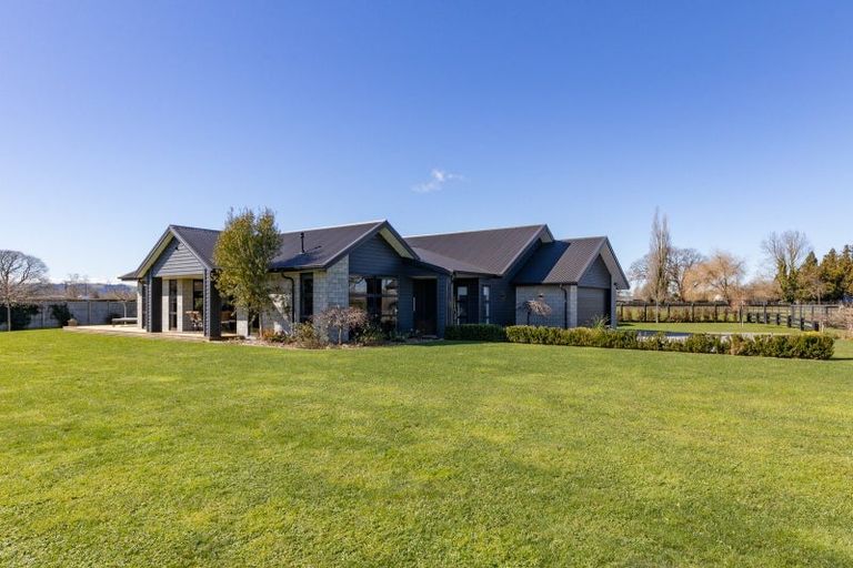 Photo of property in 41 Catalyst Avenue, Leamington, Cambridge, 3432