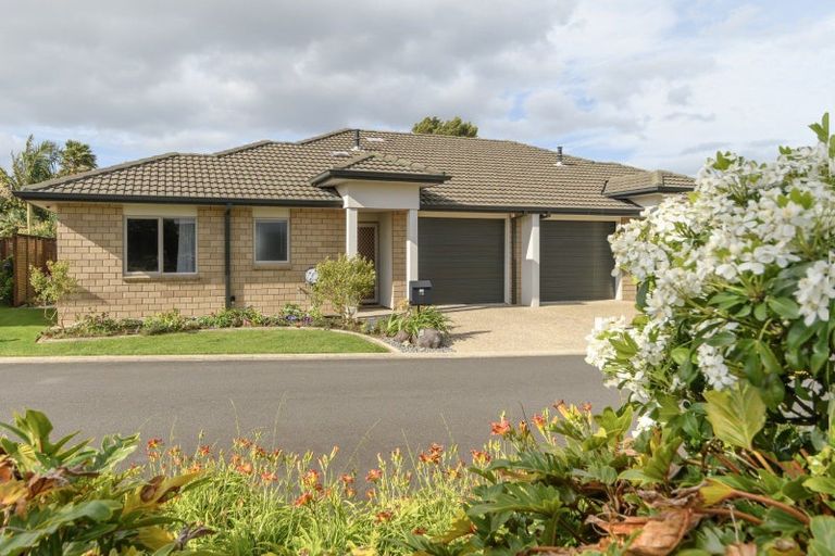 Photo of property in 19 Havenbrook Way, Pyes Pa, Tauranga, 3112