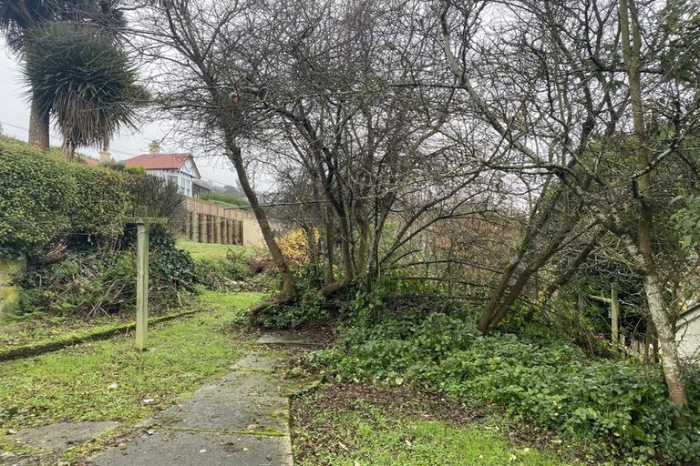 Photo of property in 60 Bank Street, North East Valley, Dunedin, 9010