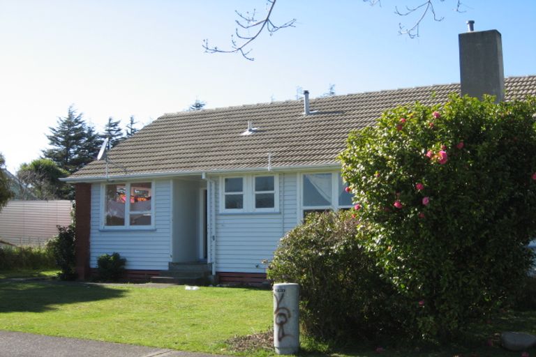 Photo of property in 3 Hinemoa Street, Levin, 5510