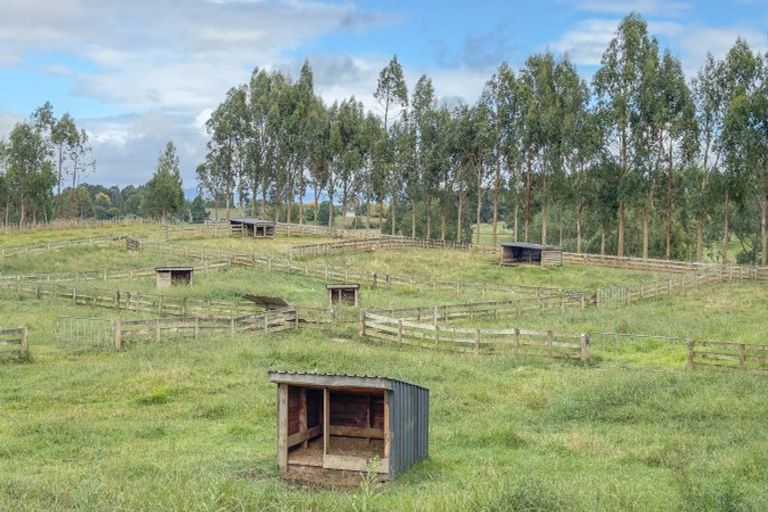 Photo of property in 800 Tuhikaramea Road, Ngahinapouri, Hamilton, 3290