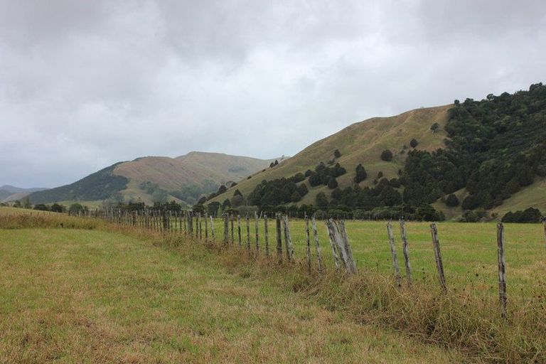 Photo of property in 1453 Tangowahine Valley Road, Tangowahine, Dargaville, 0372