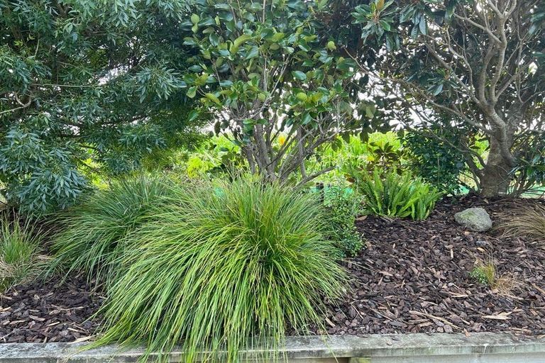 Photo of property in 12 Glen Wallace Road, Waipu, 0510