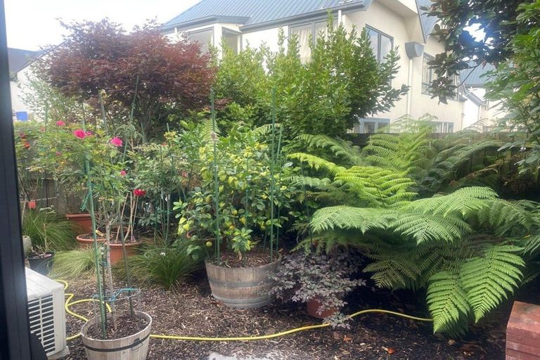 Photo of property in 5 Verlamio Lane, Edgeware, Christchurch, 8013