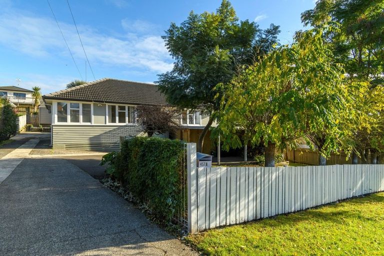 Photo of property in 457a Fraser Street, Parkvale, Tauranga, 3112