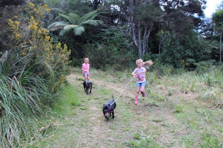 Photo of property in 750 Matakana Valley Road, Whangaripo, Wellsford, 0985