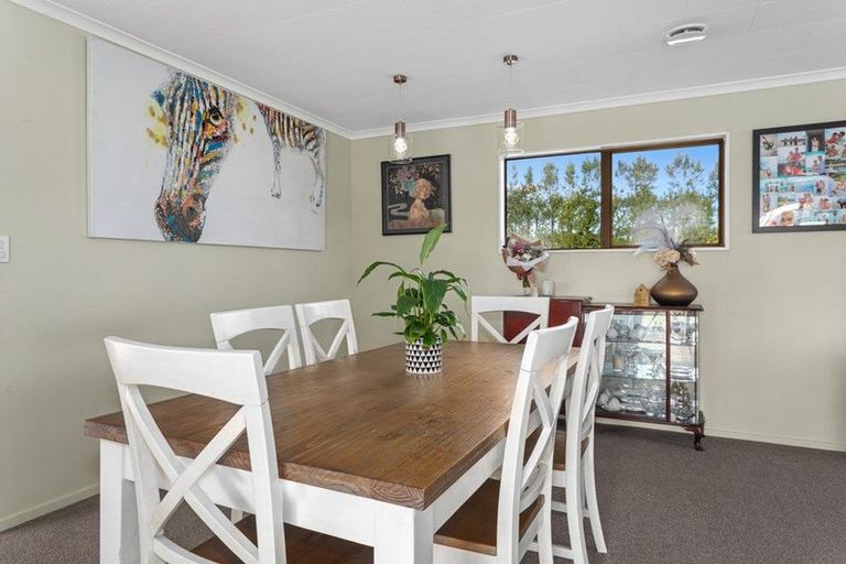 Photo of property in 24 Willow Lane, Edgecumbe, Whakatane, 3192