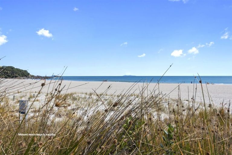 Photo of property in 44a Orkney Road, Mount Maunganui, 3116