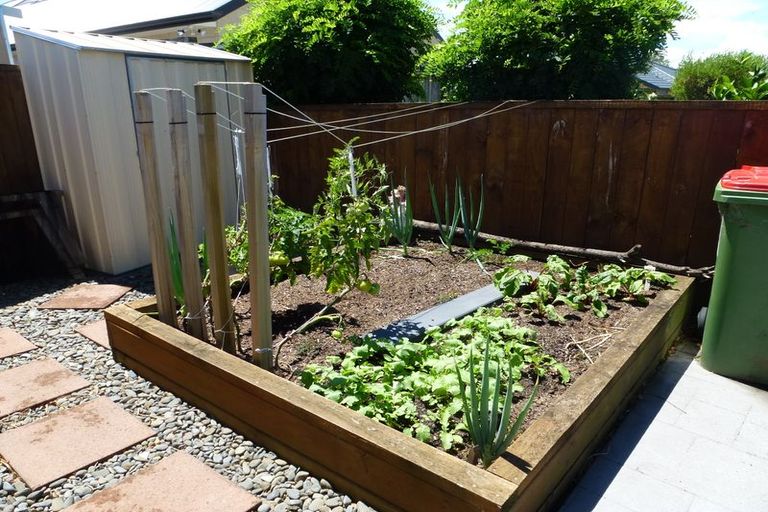 Photo of property in 141 Coronation Road, Morrinsville, 3300