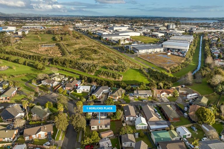 Photo of property in 1 Horlicks Place, Randwick Park, Auckland, 2105