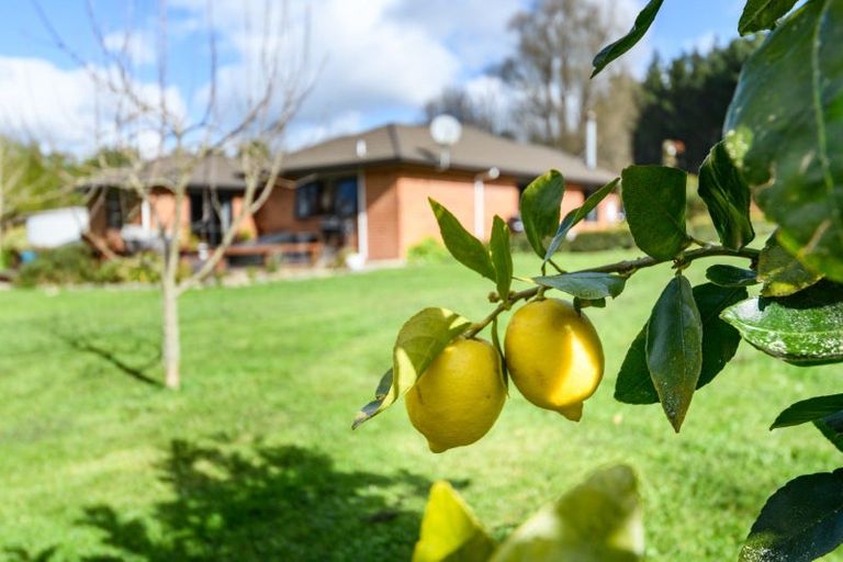 Photo of property in 21 Moonshine Valley Road, Aokautere, Palmerston North, 4471