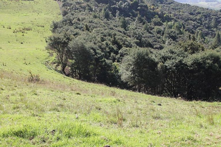 Photo of property in 86 Summer Road, Tinopai, Matakohe, 0593