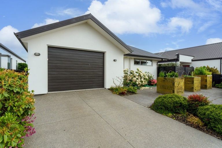 Photo of property in 81 Mary Ellen Street, Pegasus, 7612