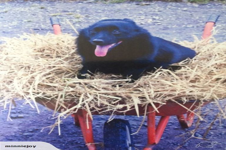 Photo of property in 90 Mill Road, Kaikoura Flat, Kaikoura, 7300