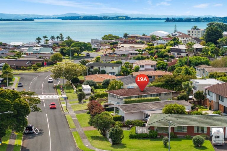 Photo of property in 19a Tilby Drive, Matua, Tauranga, 3110