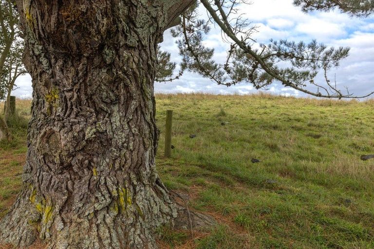 Photo of property in 14a Sampson Road, Waerenga, Te Kauwhata, 3781