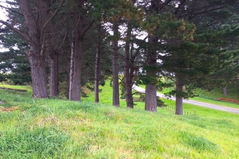 Photo of property in 89 Emma Drive, Manakau, 5573