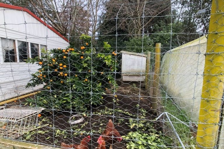 Photo of property in 47 Te Poi Road, Te Poi, Matamata, 3473