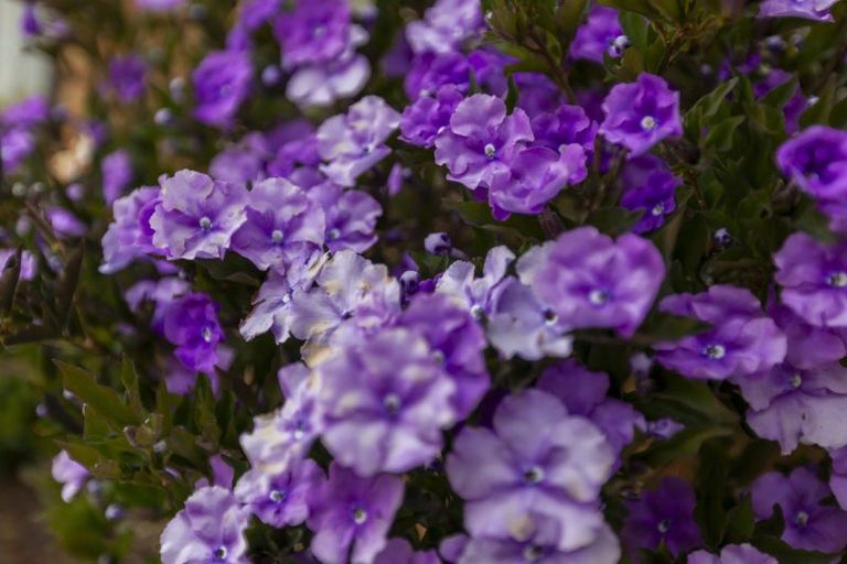 Photo of property in 113 Hillcrest Road, Raumati Beach, Paraparaumu, 5032