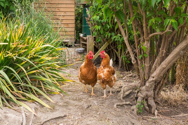 Photo of property in 95 Martin Road, Fairfield, Dunedin, 9018