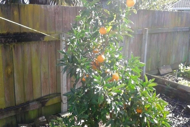 Photo of property in 12 Lerwick Street, Tamatea, Napier, 4112