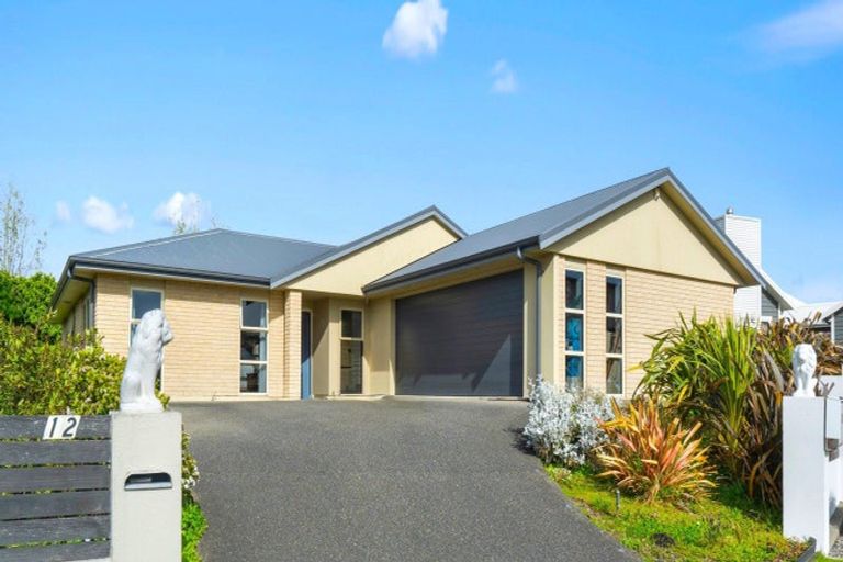 Photo of property in 12 Ruru Place, Levin, 5510