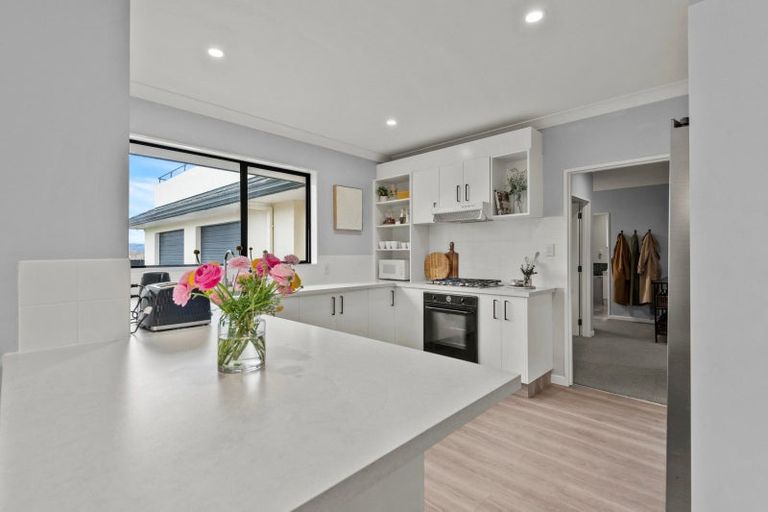 Photo of property in 41 Royal Oak Drive, Kelvin Grove, Palmerston North, 4414