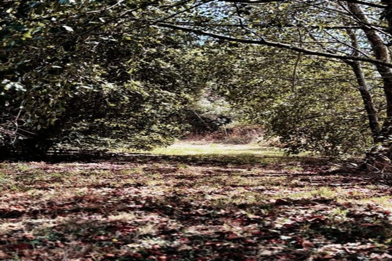 Photo of property in 85b Te Pahi River Drive, Paparoa, Maungaturoto, 0583