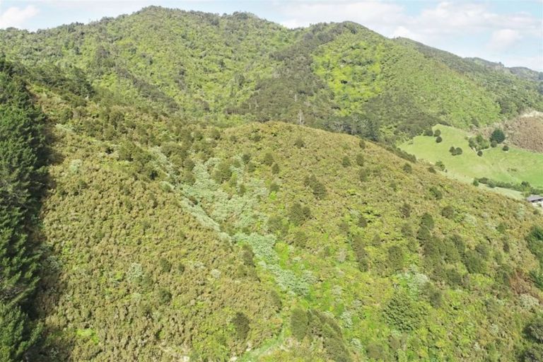 Photo of property in 855b Hakarimata Road, Huntly, 3771