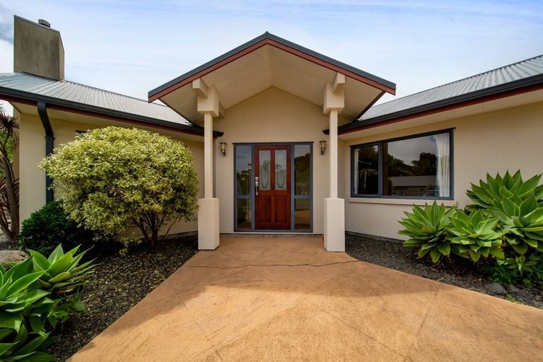 Photo of property in 45 Roto Street, Hurdon, New Plymouth, 4310