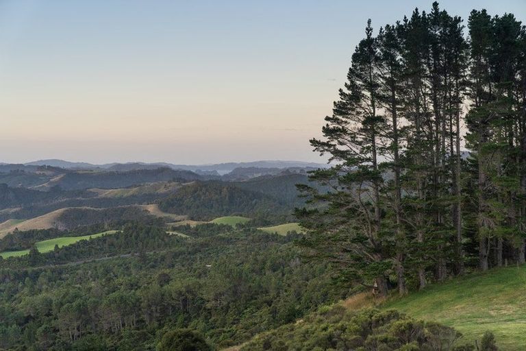 Photo of property in 50b Paul Road, Whenuakite, Whitianga, 3591