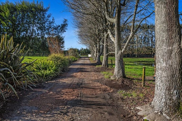 Photo of property in 24 Willow Lane, Edgecumbe, Whakatane, 3192