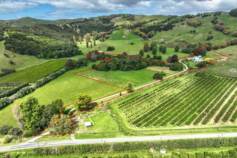 Photo of property in 559 Taurau Valley Road, Muriwai, Manutuke, 4072