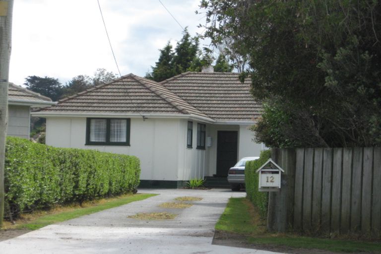 Photo of property in 12 Hadfield Crescent, College Estate, Whanganui, 4500