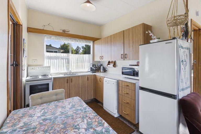 Photo of property in 32 Leven Street, Naseby, 9396