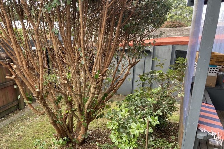 Photo of property in 69 Clarke Street, Gate Pa, Tauranga, 3112