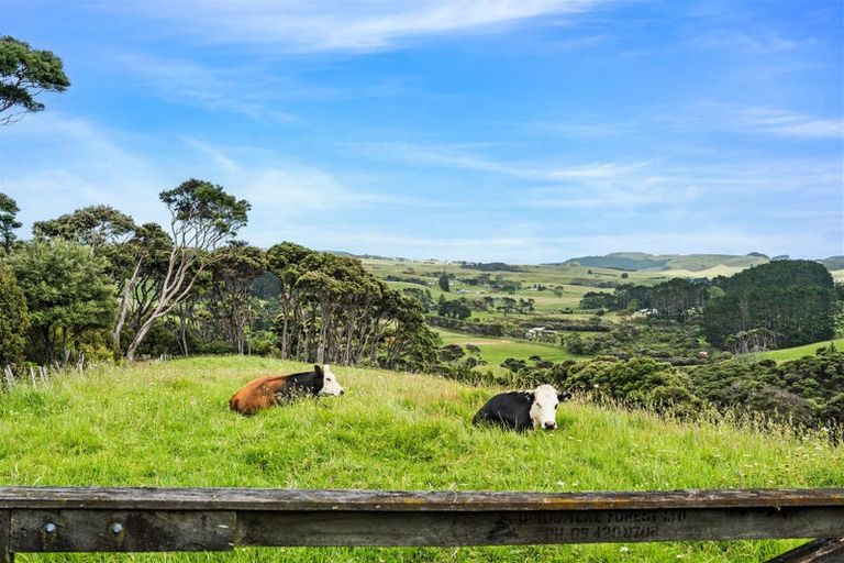 Photo of property in 187 Valley Road, Waimauku, 0881