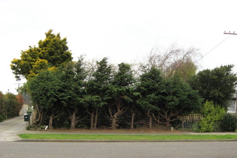 Photo of property in 29 Roosevelt Street, Levin, 5510