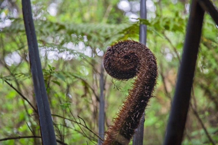 Photo of property in 1615 Whaanga Road, Raglan, 3296