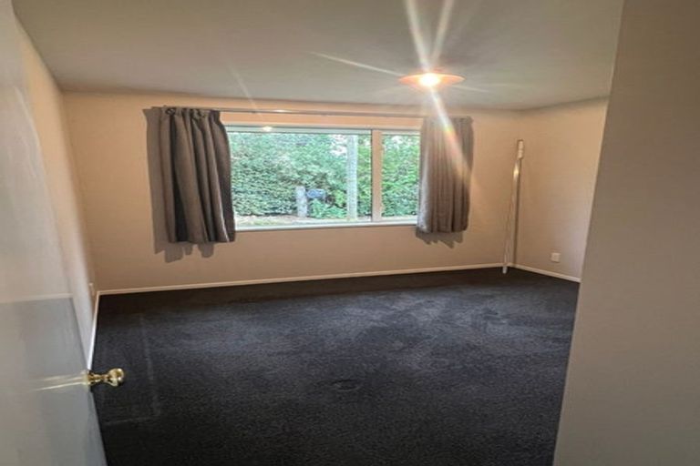 Photo of property in 23 Tramway Road, Springfield, 7681