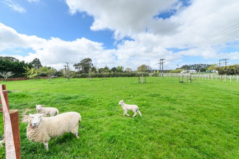 Photo of property in 339 Stoney Creek Road, Kelvin Grove, Palmerston North, 4470