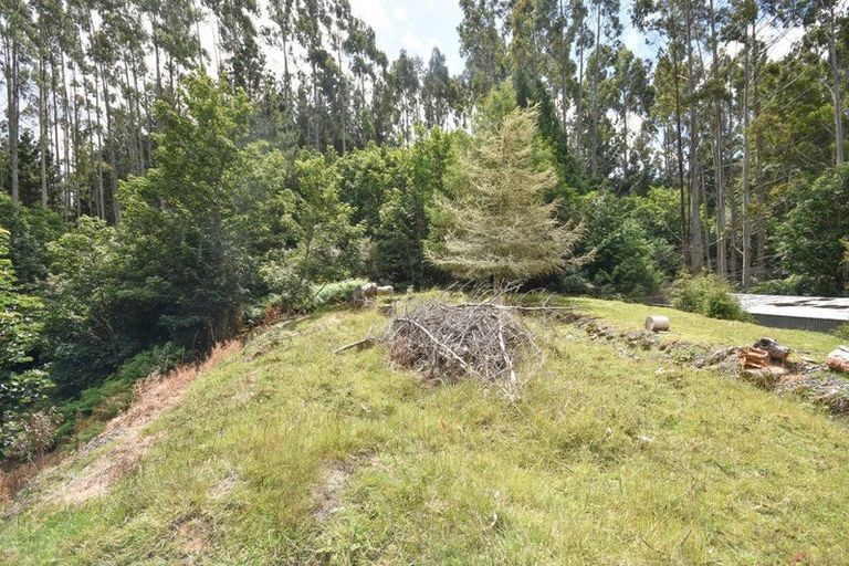 Photo of property in 317 Leith Valley Road, Leith Valley, Dunedin, 9010