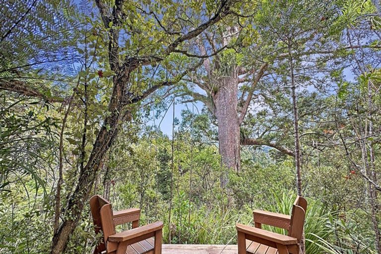 Photo of property in 144 Opanuku Road, Henderson Valley, Auckland, 0612