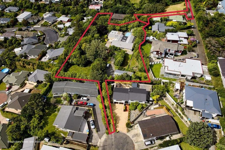 Photo of property in 10 Hillview Crescent, Paparangi, Wellington, 6037