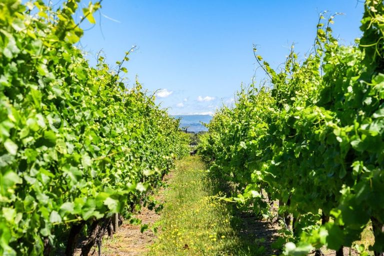 Photo of property in 34 Side Road, Haumoana, Hastings, 4180