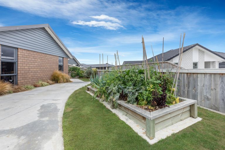 Photo of property in 15 Hoylake Place, Morrinsville, 3300