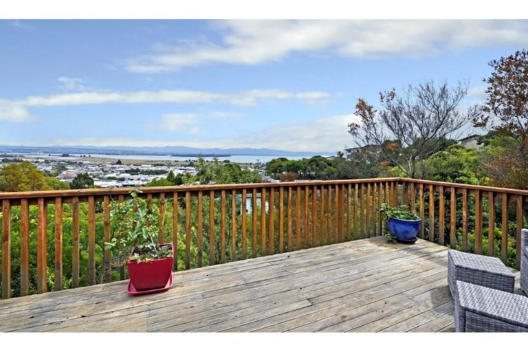 Photo of property in 3 Kamahi Way, Tahunanui, Nelson, 7011