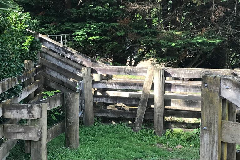 Photo of property in 785 Glen Murray Road, Rangiriri, Huntly, 3772